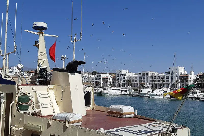A white boat moored in Agadir Marina with apartments behind