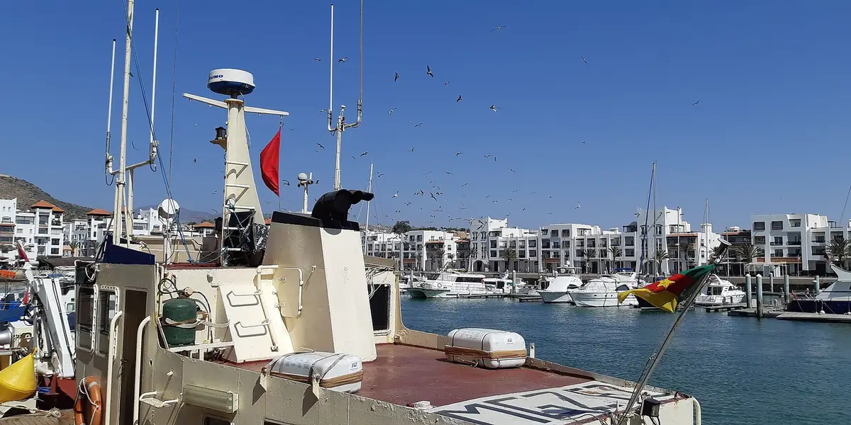A white boat moored in Agadir Marina with apartments behind